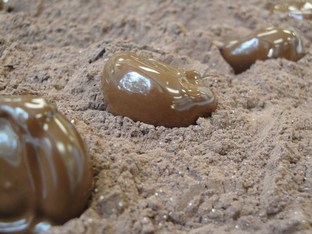truffles in cocoa powder