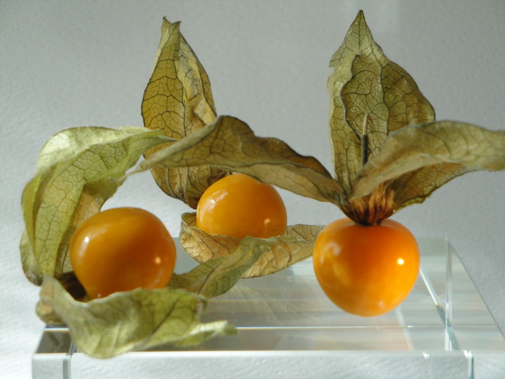 Cape Gooseberries