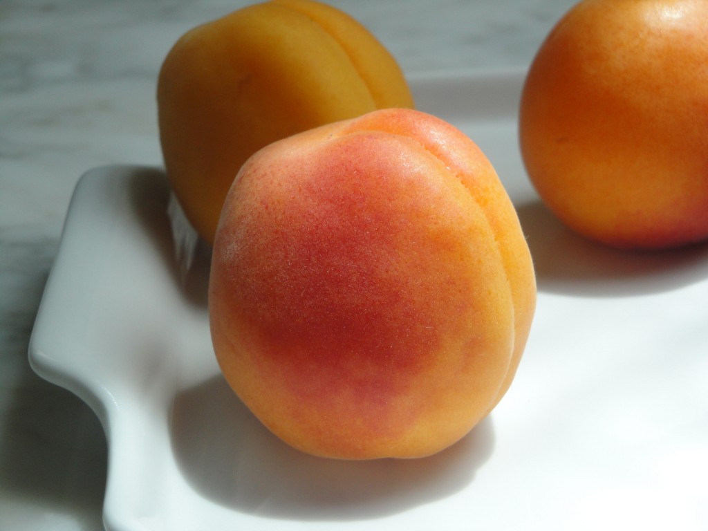 apricots apricot coulis
